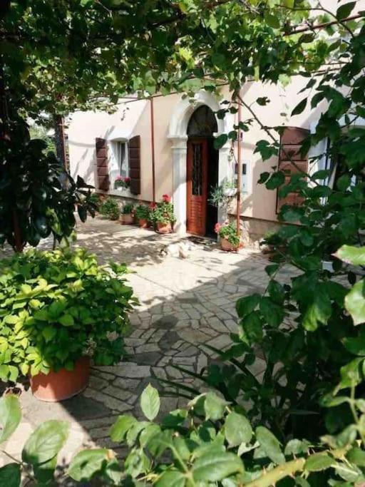 New Renovated Appartment Mauri Porec Exterior photo